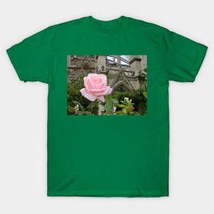 Paris Notre Dame de Paris Pink Rose Bush T-Shirt